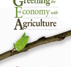 Greening the Economy with Agriculture - Food and Agriculture