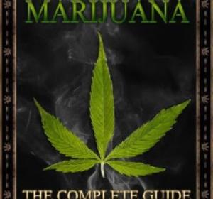 Growing Elite Marijuana