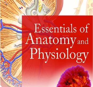 Essentials of Anatomy and Physiology