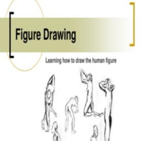 Figure Drawing