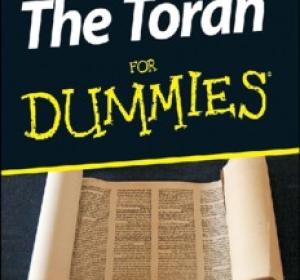 The Torah For Dummies