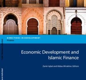 Economic Development and Islamic Finance